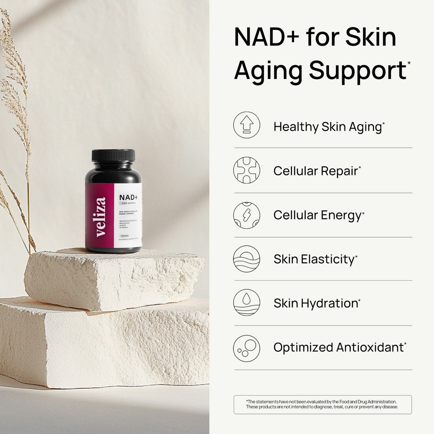 The NAD+ Max Bundle