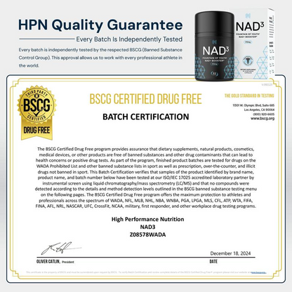The NAD+ Max Bundle
